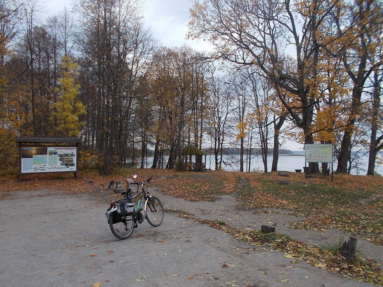 Foresta romint kaliningrad ciaobici 1