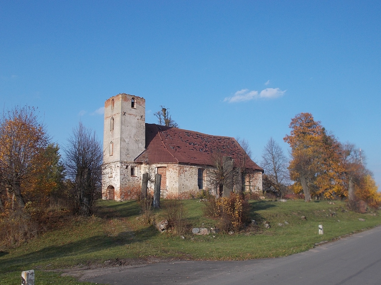 Foresta romint kaliningrad ciaobici 4