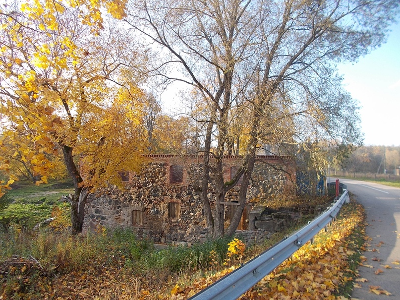 foresta kaliningrad romint ciaobici