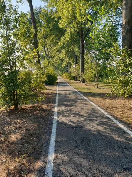 3 ciaobici ciclabile burana ferrara