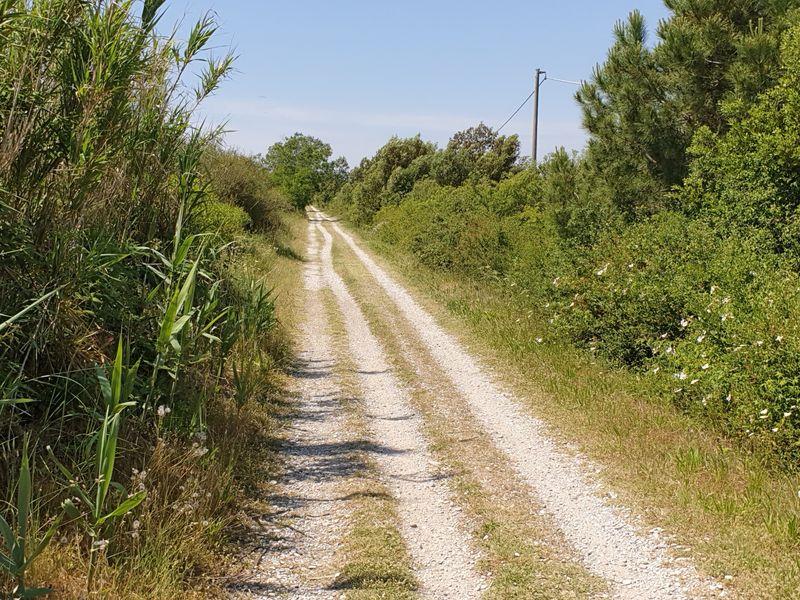 ciaobici lidi ferraresi sacca goro 10