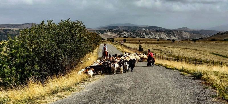 ciaobici basilicata paolo maragliulo 11 mod