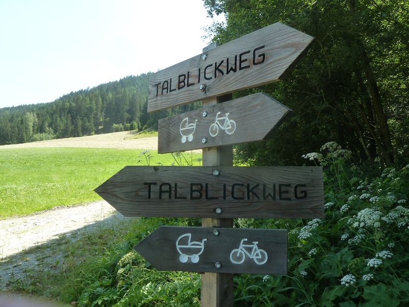 ciaobici ciclabile val casies pusteria 6