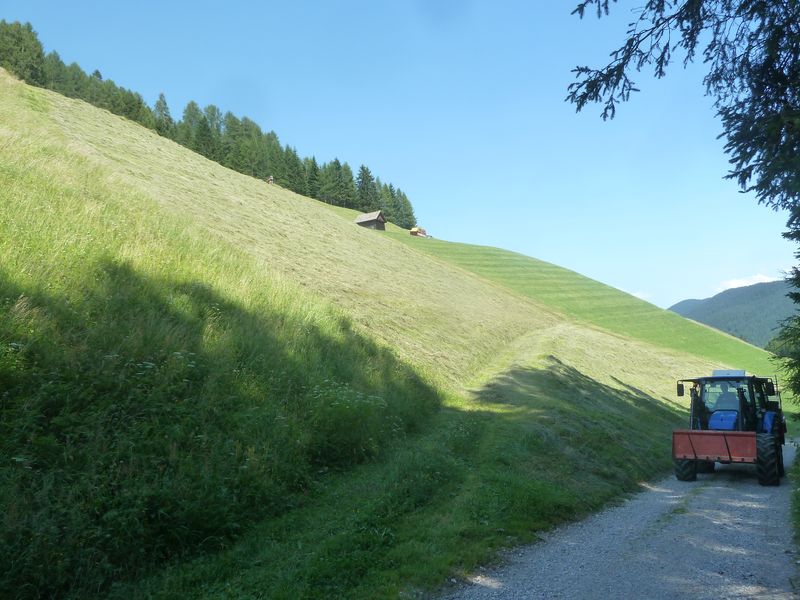 ciaobici ciclabile val casies pusteria 8
