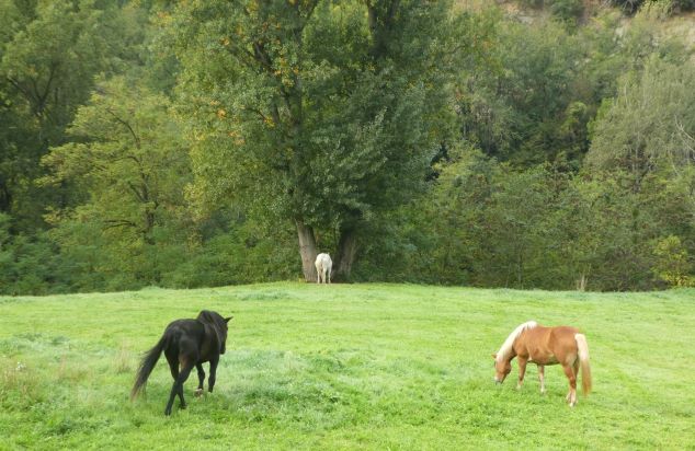 ciaobici appennino bolognese cicloturismo 14