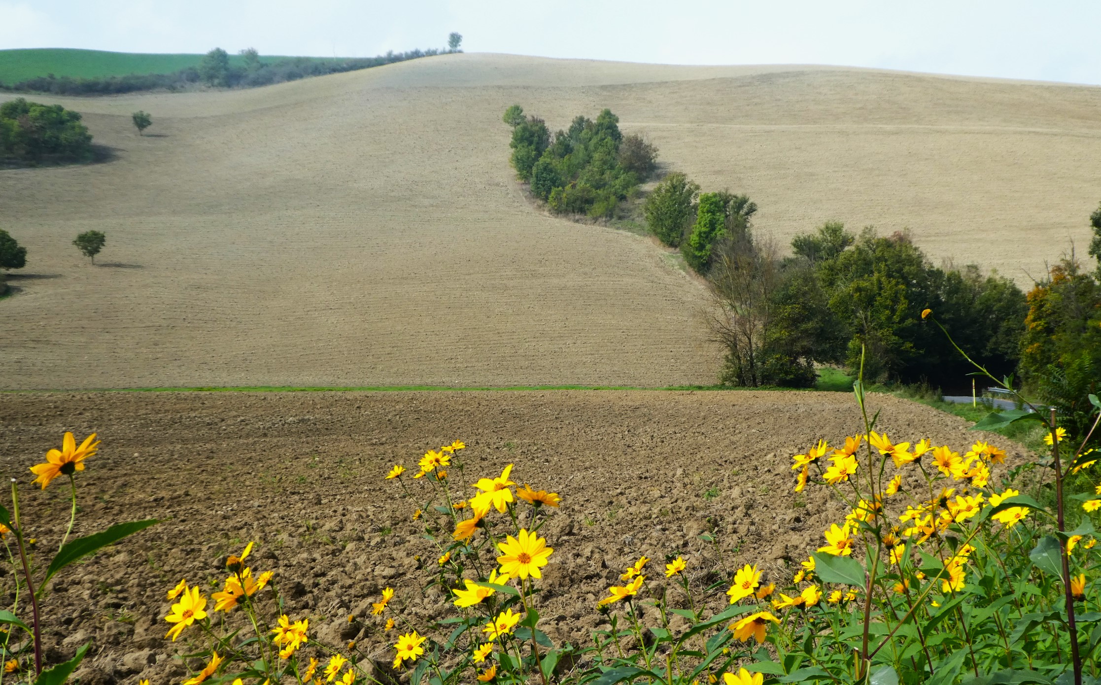 ciaobici appennino bolognese cicloturismo 15