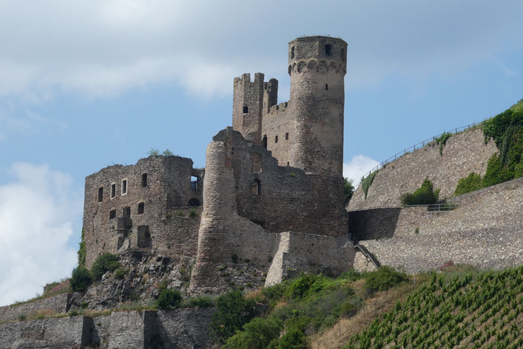 ciaobici crociera fiume reno 2