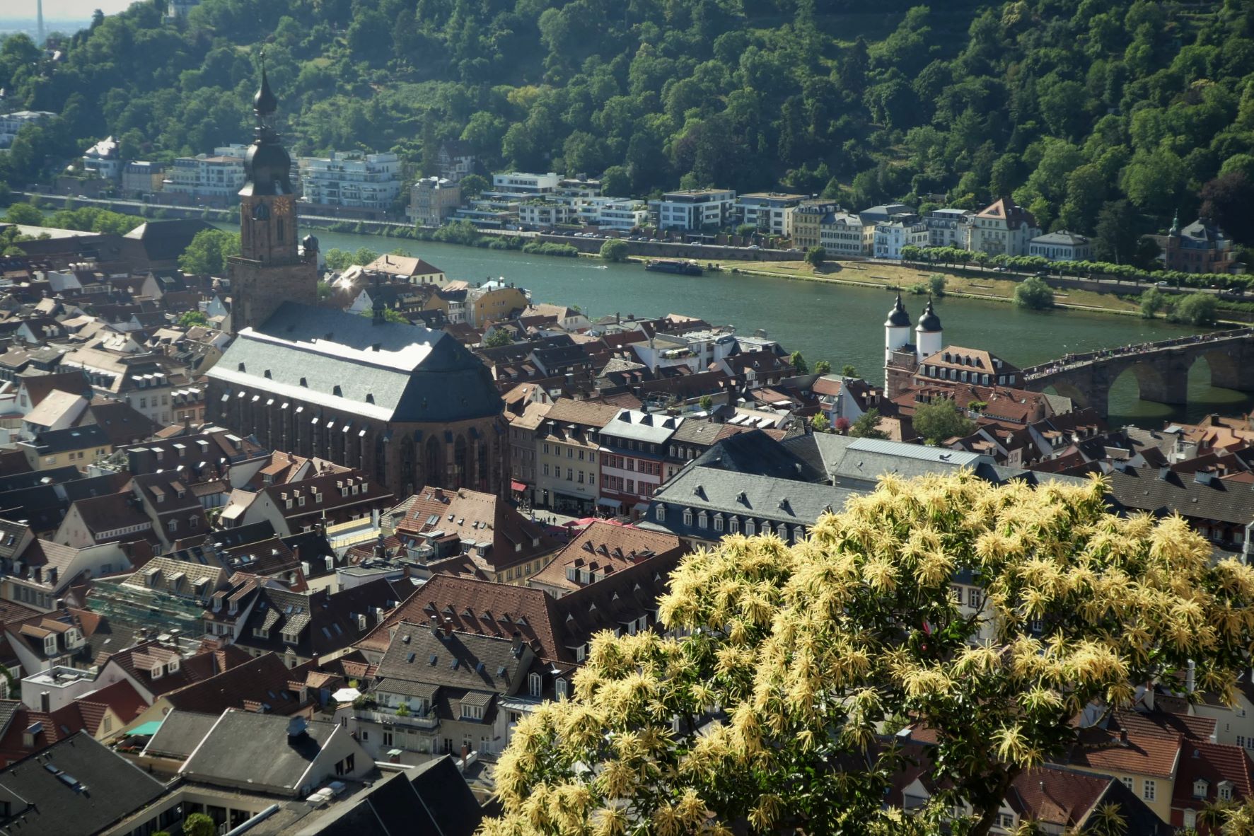 ciaobici heidelberg panorama