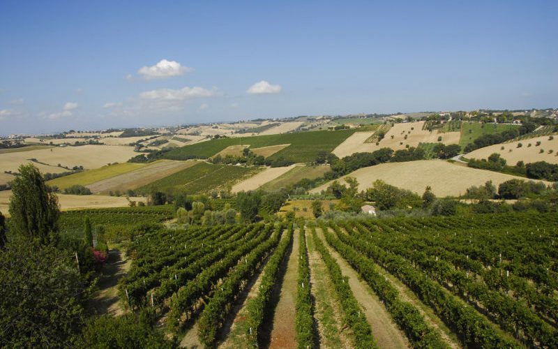 Jesi verdicchio ciaobici