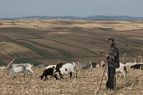 essere terra aforismidiviaggio.it lorenzo merlo