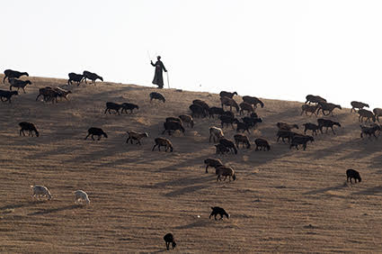 lorenzo merlo essere terra aforismidiviaggio.it