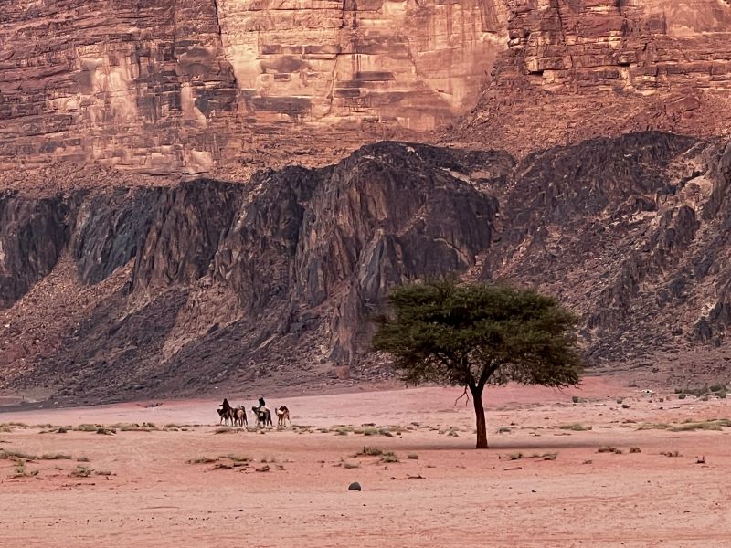 ciaobici 12 Im Wadi Rum 15 scaled