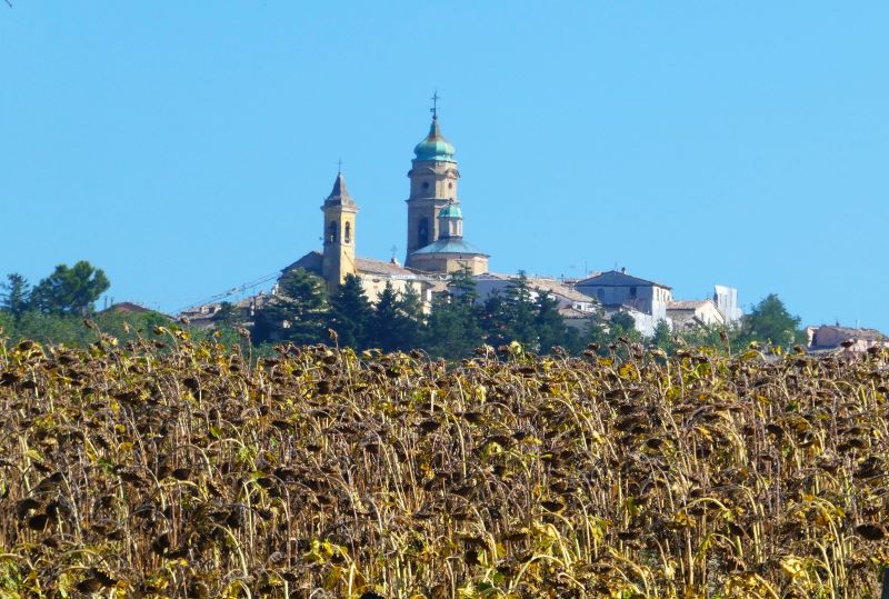 ciaobic marche cingoli