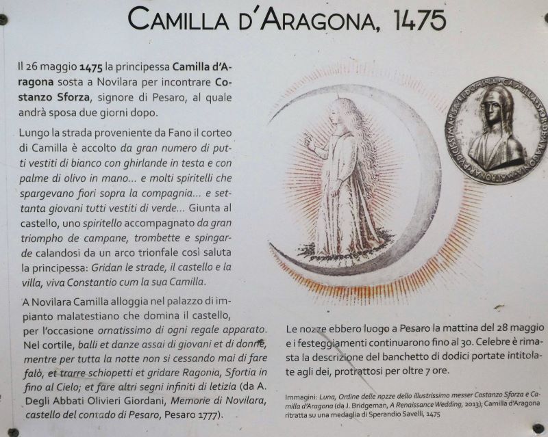 ciaobici camilla daragona a novilara