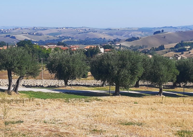 ciaobici cingoli marche 1