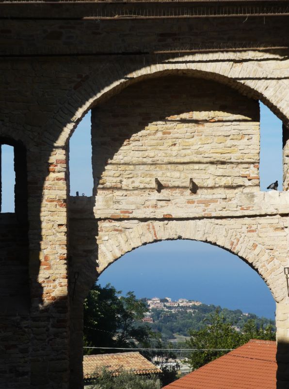 ciaobici novilara marche