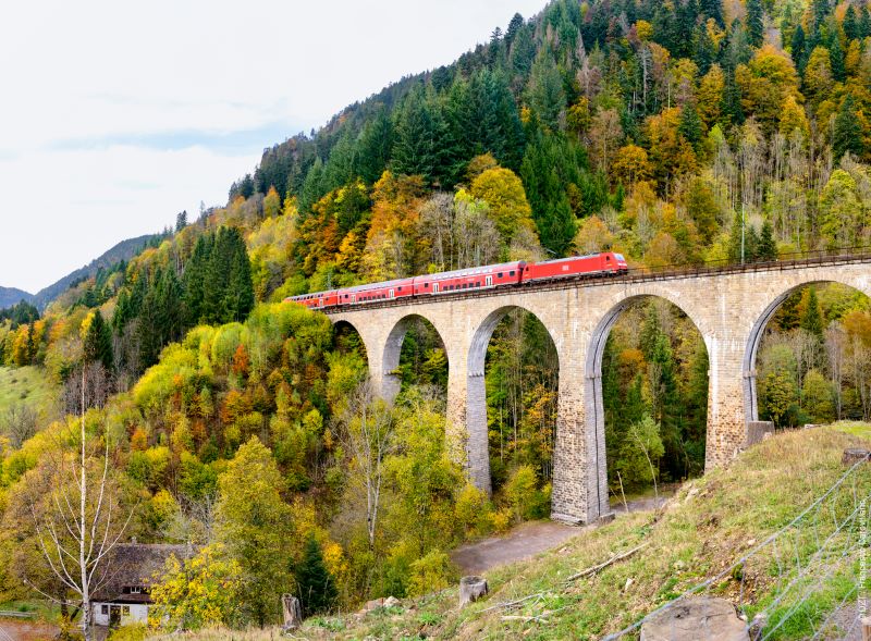 Hinterzarten Gola di Ravenna con vista del treno che passa sul ponte DZT Francesco Carovillano