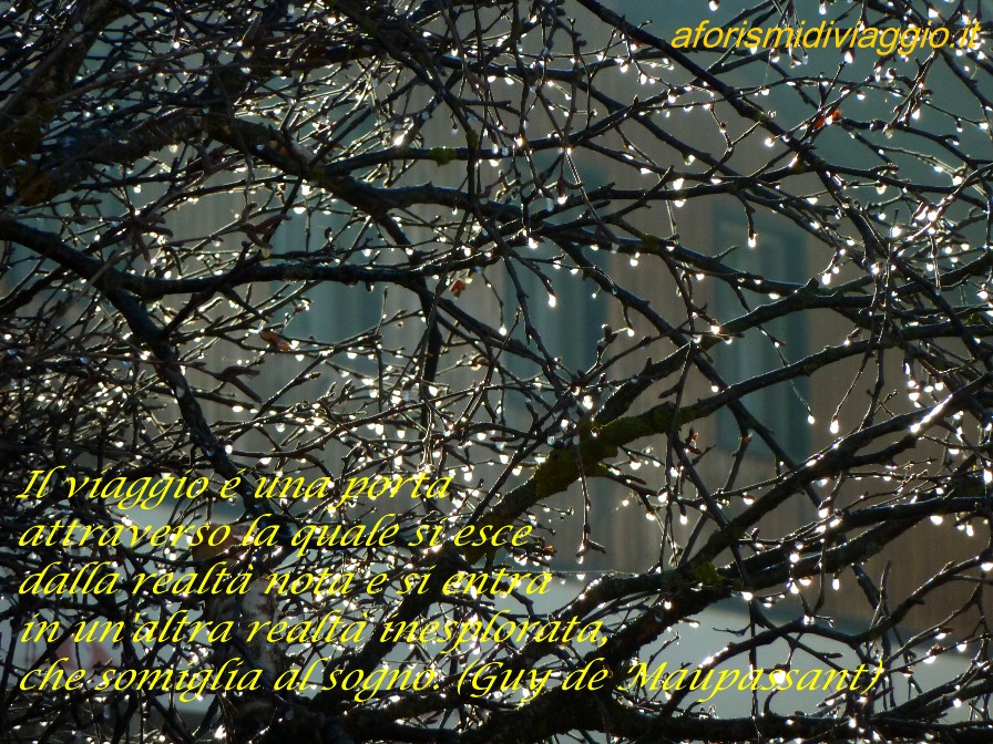 foto e frasi 5