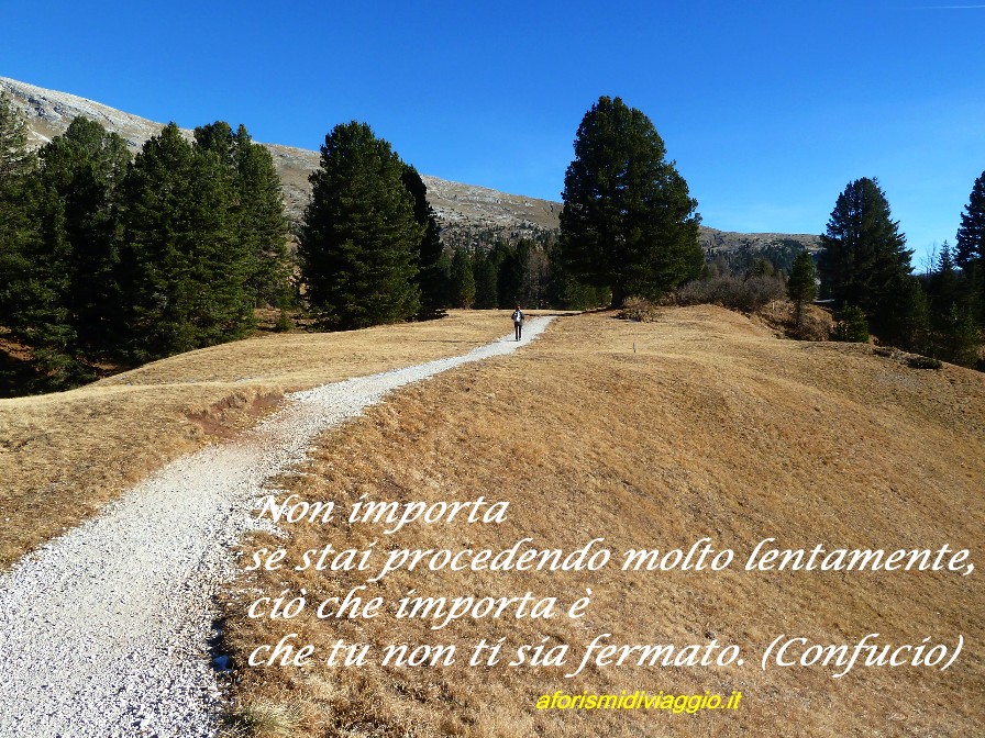 foto e frasi 6