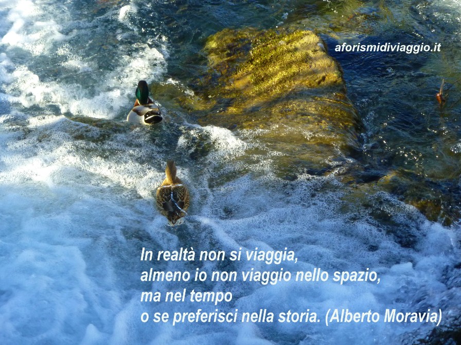 foto e frasi 9