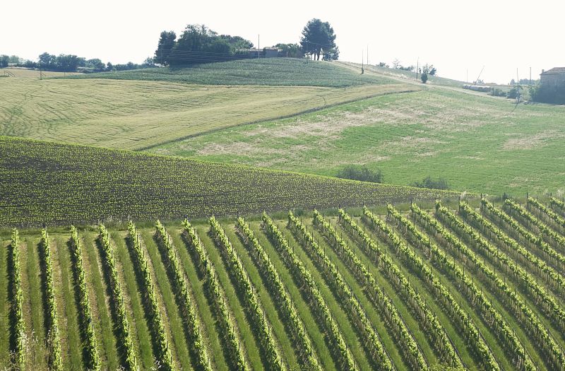 ciaobici.it verso Recanati