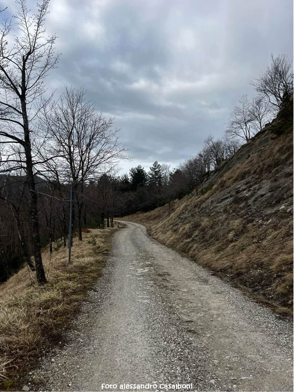 ciaobici anello silenzio 15