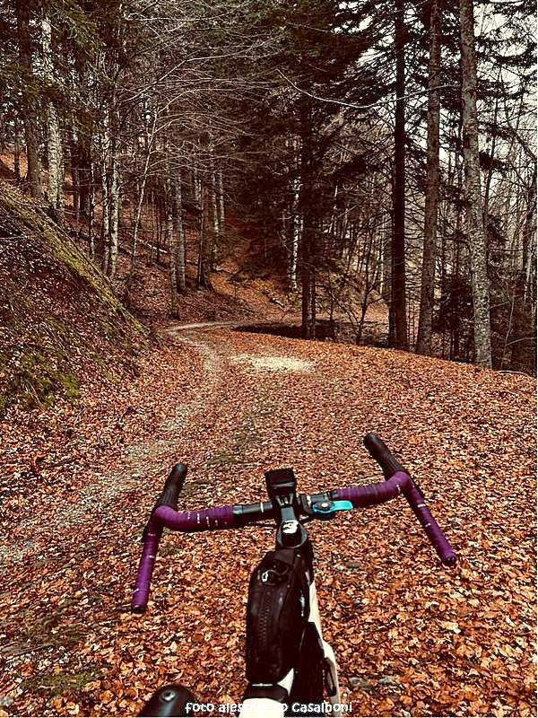 ciaobici anello silenzio 18