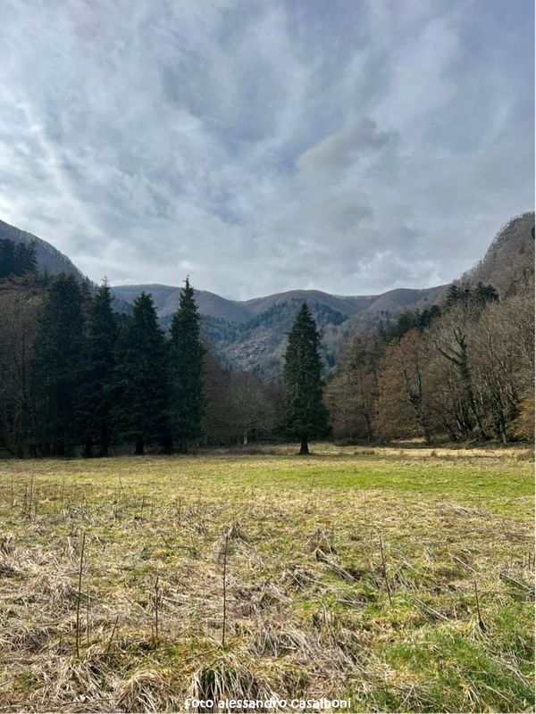 ciaobici anello silenzio 2