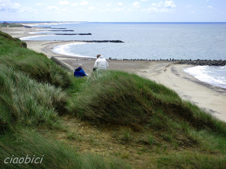 dune spiagge danimarca 4