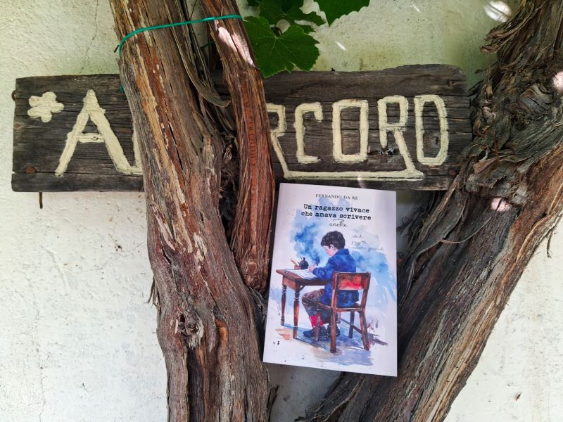 2026 foto libro amarcord