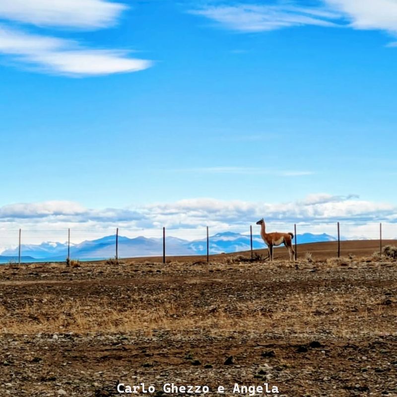 47Cap3 pampas 2025modjpg