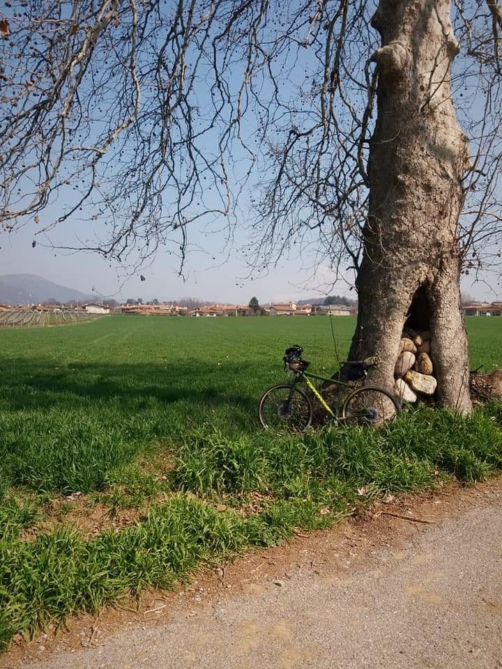 ciaobici verona ci vado in bicicletta bicicletterario 4