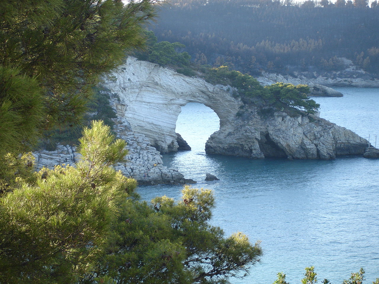 1280px Vieste.architiello