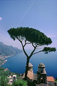 Ravello