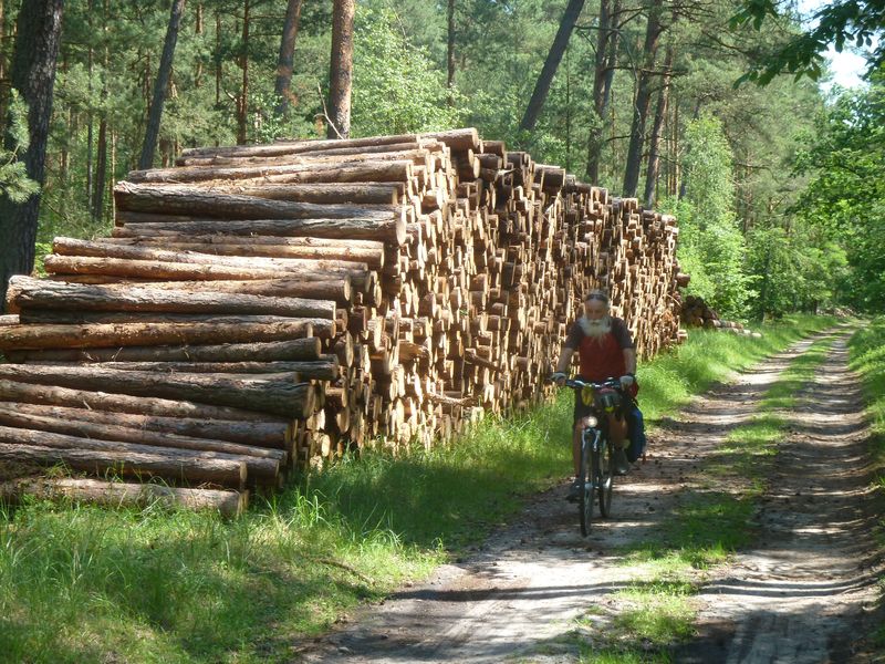 ciaobici kaliningrad danzica bicicletta 13mod