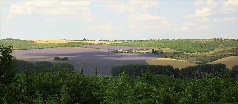 ciaobici libro moldova transnistria 1