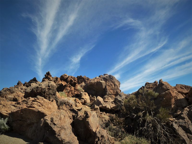 ciaobici cicloturismo tenerife 7