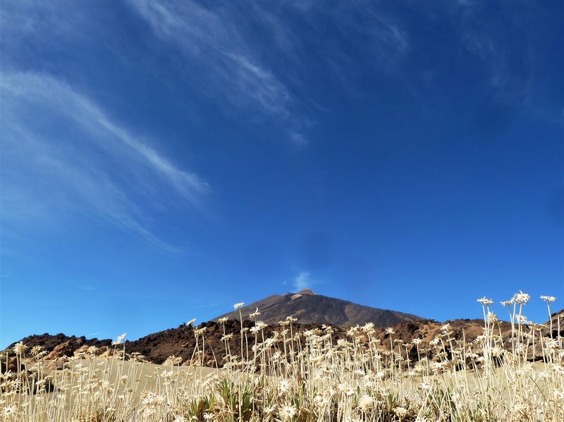 ciaobici cicloturismo tenerife 8