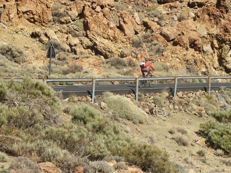 ciaobici cicloturismo tenerife 9