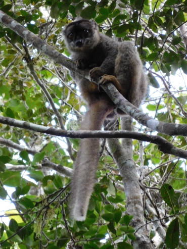 ciaobici madagascar 6