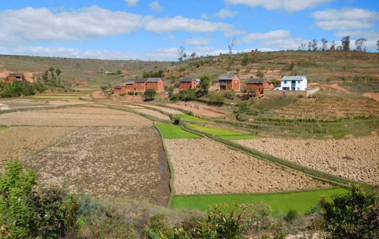 ciaobici madagascar seconda parte 11