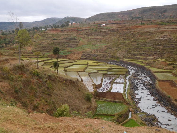 ciaobici madagascar seconda parte 13