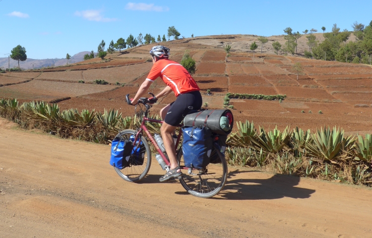 ciaobici madagascar seconda parte 2