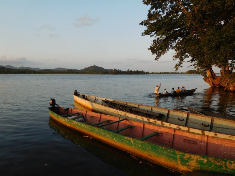 ciaobici madagascar seconda parte 5