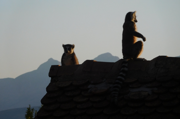 ciaobici madagascar terza 25