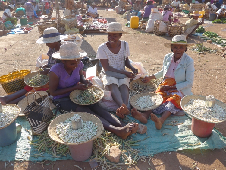 ciaobici madagascar terza 5