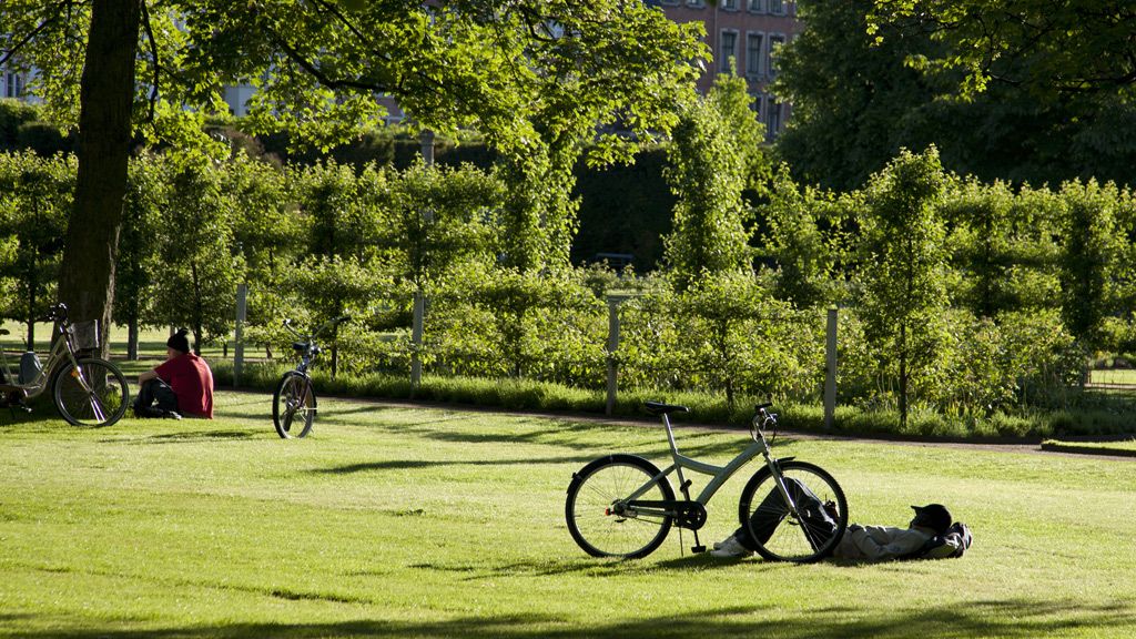 copenhagen sleepy cyclist kongens have