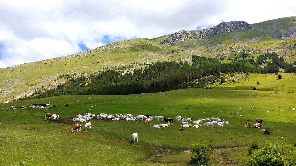 ciaobici pascoli sui monti della laga