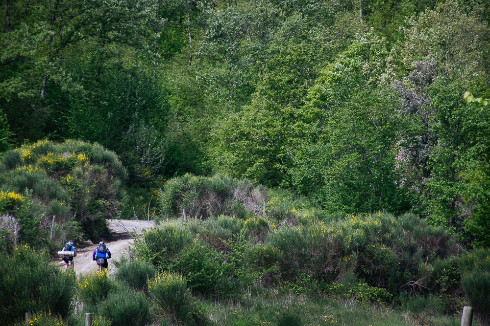 ciaobici-tuscany trail 2