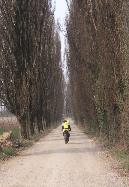 colli morenici 1